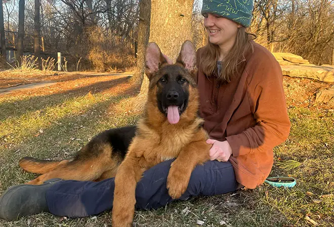 How To Stop German Shepherd Odor: The Most Common Sources